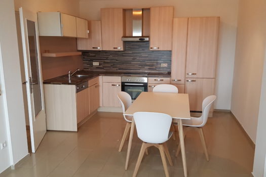 Appartement 2 chambres à louer à Gasperich