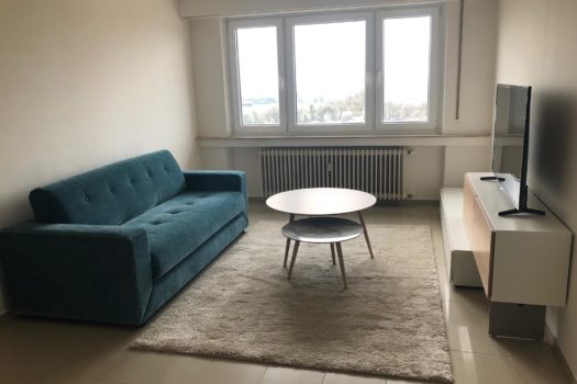 Appartement 2 chambres à louer à Gasperich